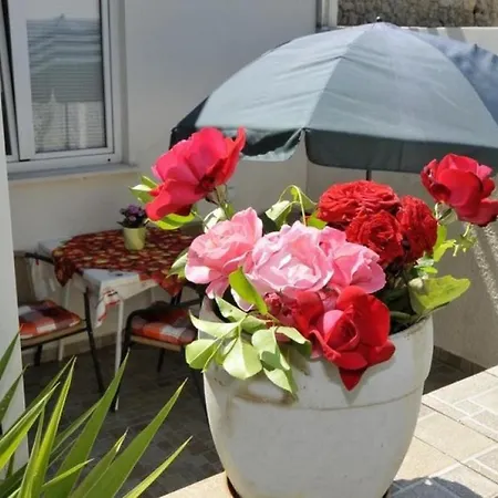 Appartement Katarina - One-bedroom With Terrace And Garden View